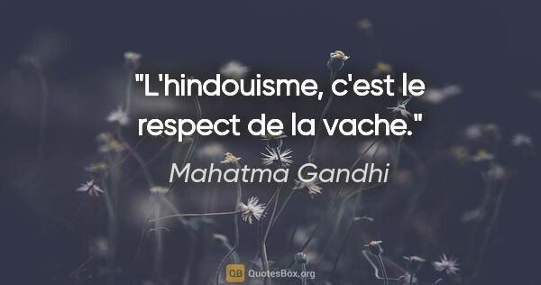 Mahatma Gandhi citation: "L'hindouisme, c'est le respect de la vache."
