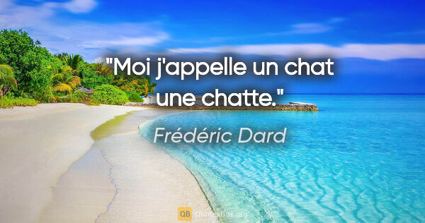 Frédéric Dard citation: "Moi j'appelle un chat une chatte."