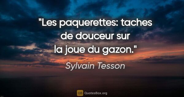 Sylvain Tesson citation: "Les paquerettes: taches de douceur sur la joue du gazon."