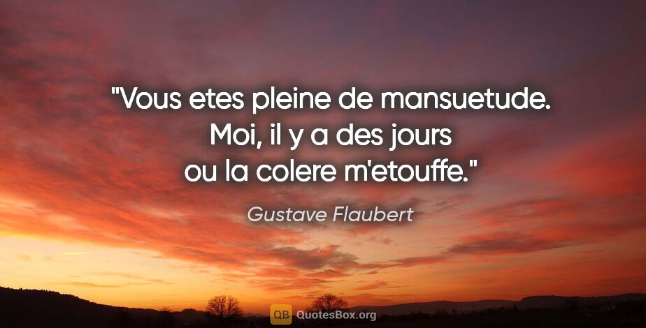Gustave Flaubert citation: "Vous etes pleine de mansuetude. Moi, il y a des jours ou la..."