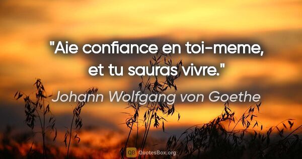 Johann Wolfgang von Goethe citation: "Aie confiance en toi-meme, et tu sauras vivre."