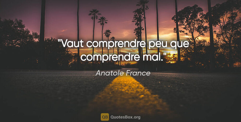 Anatole France citation: "Vaut comprendre peu que comprendre mal."