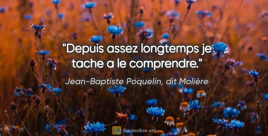 Jean-Baptiste Poquelin, dit Molière citation: "Depuis assez longtemps je tache a le comprendre."