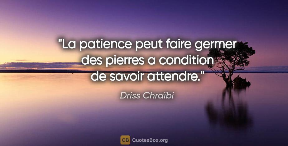 Driss Chraïbi citation: "La patience peut faire germer des pierres a condition de..."