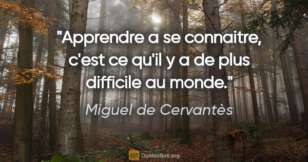 Miguel de Cervantès citation: "Apprendre a se connaitre, c'est ce qu'il y a de plus difficile..."