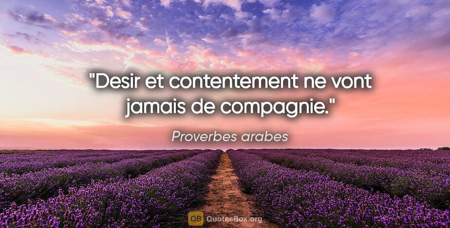 Proverbes arabes citation: "Desir et contentement ne vont jamais de compagnie."