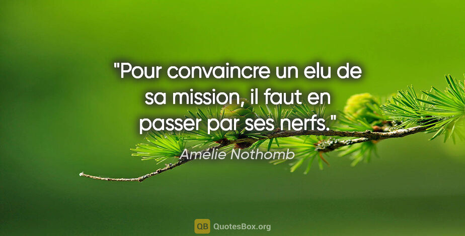 Amélie Nothomb citation: "Pour convaincre un elu de sa mission, il faut en passer par..."