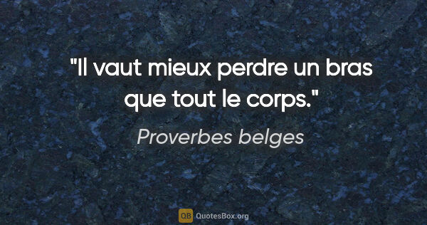 Proverbes belges citation: "Il vaut mieux perdre un bras que tout le corps."