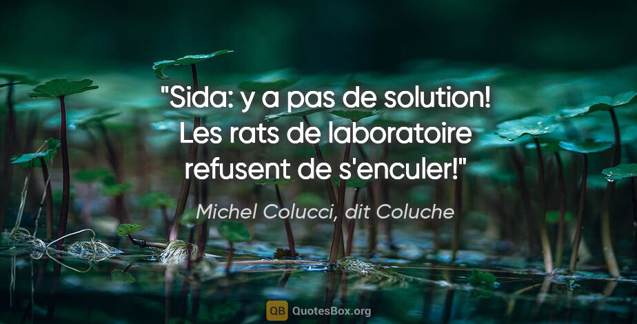 Michel Colucci, dit Coluche citation: "Sida: y a pas de solution! Les rats de laboratoire refusent de..."