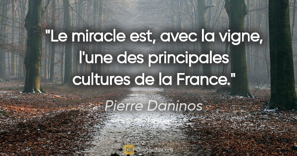 Pierre Daninos citation: "Le miracle est, avec la vigne, l'une des principales cultures..."
