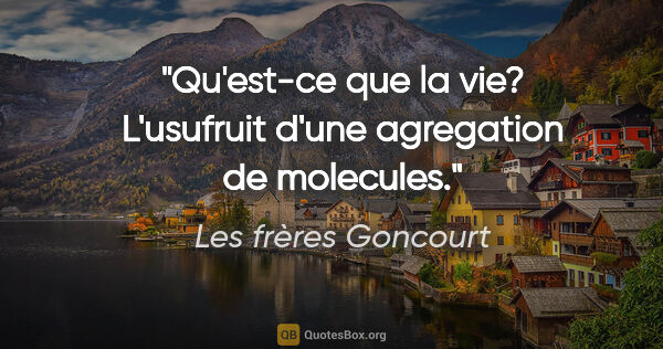 Les frères Goncourt citation: "Qu'est-ce que la vie? L'usufruit d'une agregation de molecules."