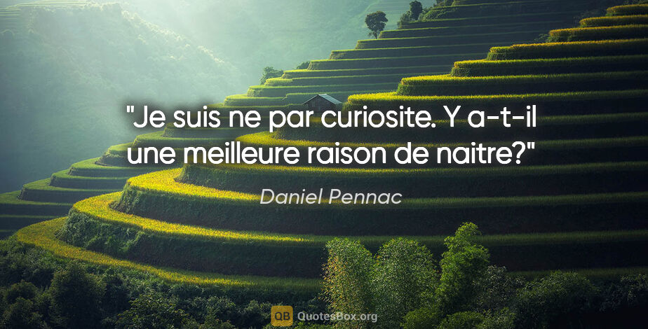 Daniel Pennac citation: "Je suis ne par curiosite. Y a-t-il une meilleure raison de..."