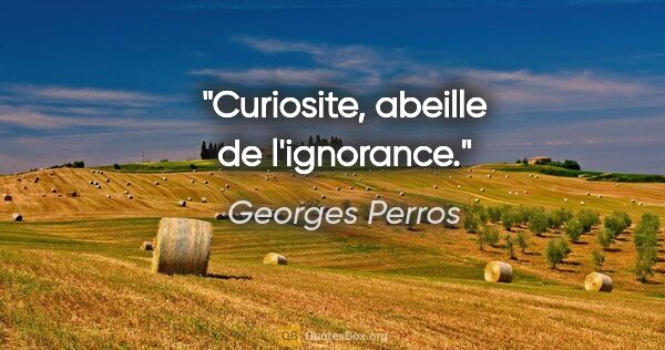 Georges Perros citation: "Curiosite, abeille de l'ignorance."