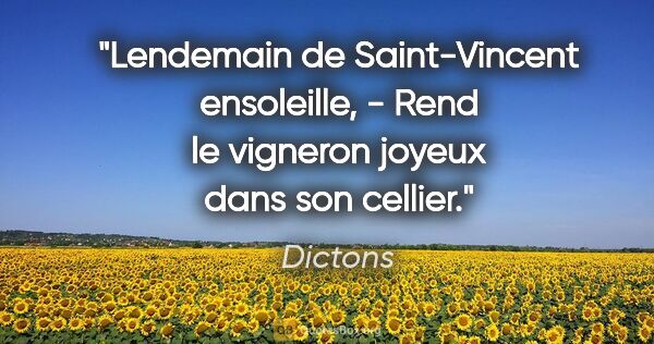 Dictons citation: "Lendemain de Saint-Vincent ensoleille, - Rend le vigneron..."