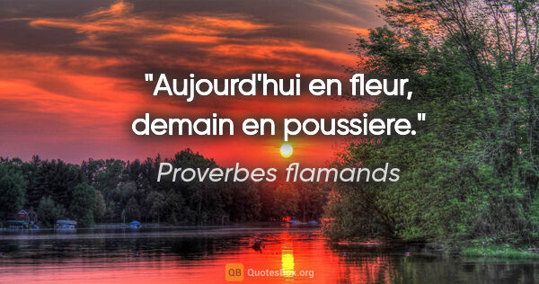 Proverbes flamands citation: "Aujourd'hui en fleur, demain en poussiere."