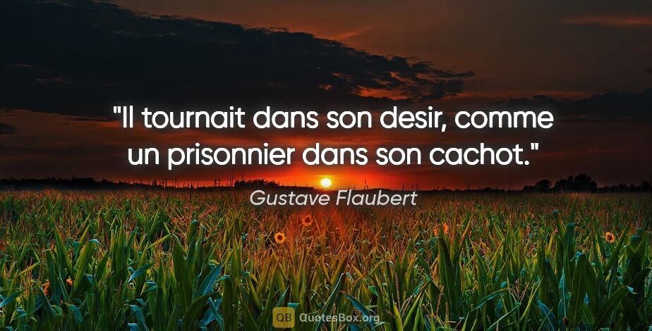 Gustave Flaubert citation: "Il tournait dans son desir, comme un prisonnier dans son cachot."