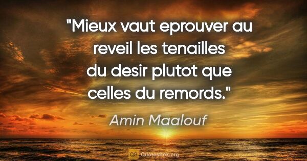 Amin Maalouf citation: "Mieux vaut eprouver au reveil les tenailles du desir plutot..."