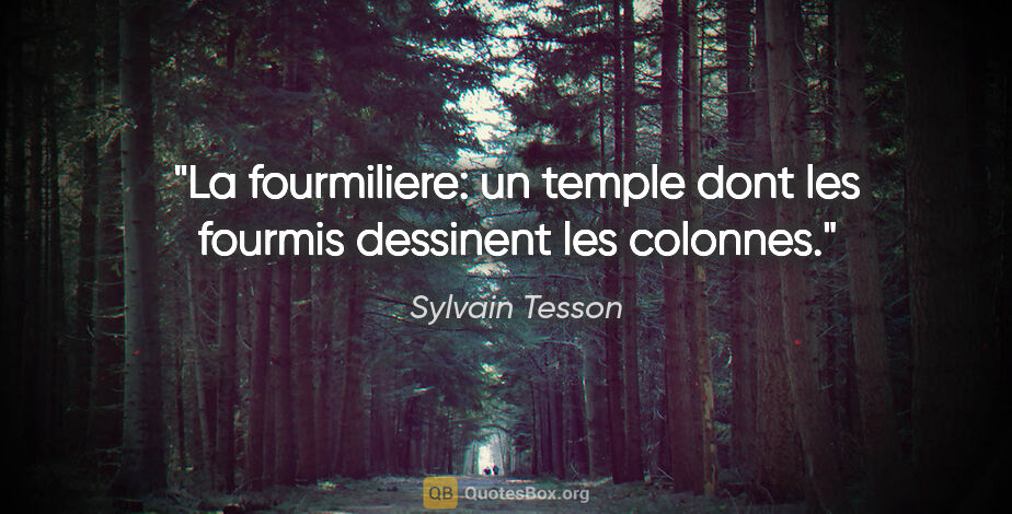 Sylvain Tesson citation: "La fourmiliere: un temple dont les fourmis dessinent les..."