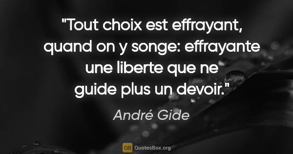 André Gide citation: "Tout choix est effrayant, quand on y songe: effrayante une..."