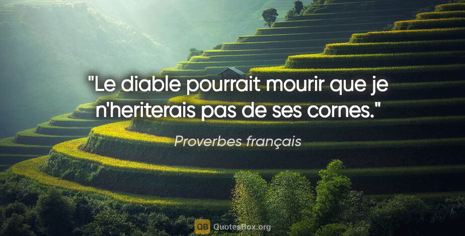 Proverbes français citation: "Le diable pourrait mourir que je n'heriterais pas de ses cornes."