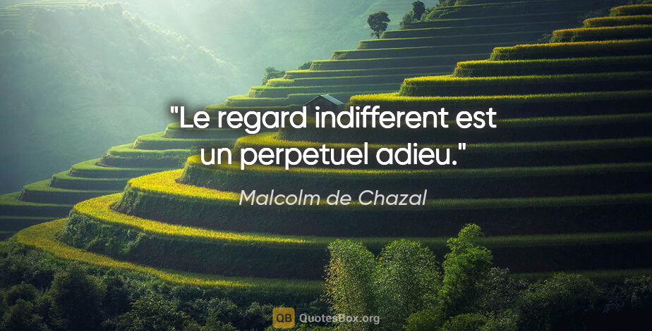 Malcolm de Chazal citation: "Le regard indifferent est un perpetuel adieu."