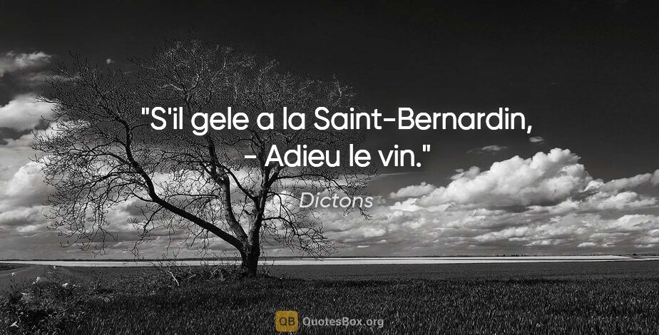 Dictons citation: "S'il gele a la Saint-Bernardin, - Adieu le vin."