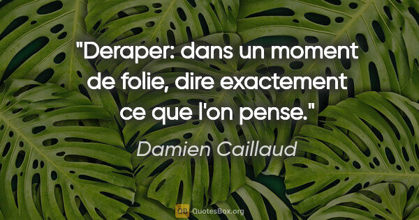 Damien Caillaud citation: "Deraper: dans un moment de folie, dire exactement ce que l'on..."
