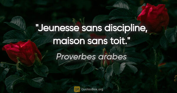 Proverbes arabes citation: "Jeunesse sans discipline, maison sans toit."