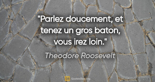 Theodore Roosevelt citation: "Parlez doucement, et tenez un gros baton, vous irez loin."