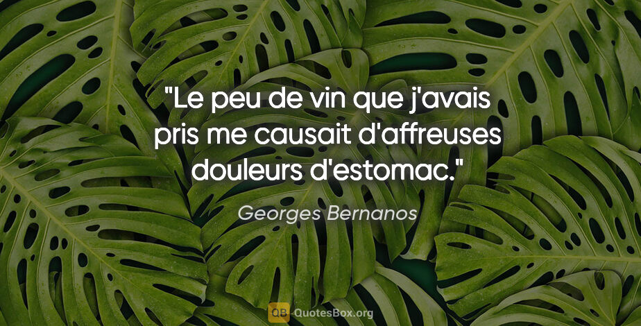 Georges Bernanos citation: "Le peu de vin que j'avais pris me causait d'affreuses douleurs..."