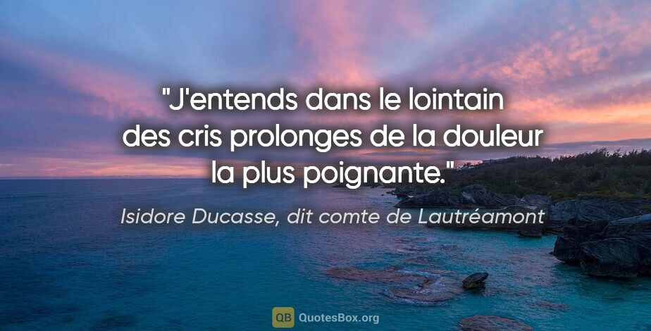 Isidore Ducasse, dit comte de Lautréamont citation: "J'entends dans le lointain des cris prolonges de la douleur la..."