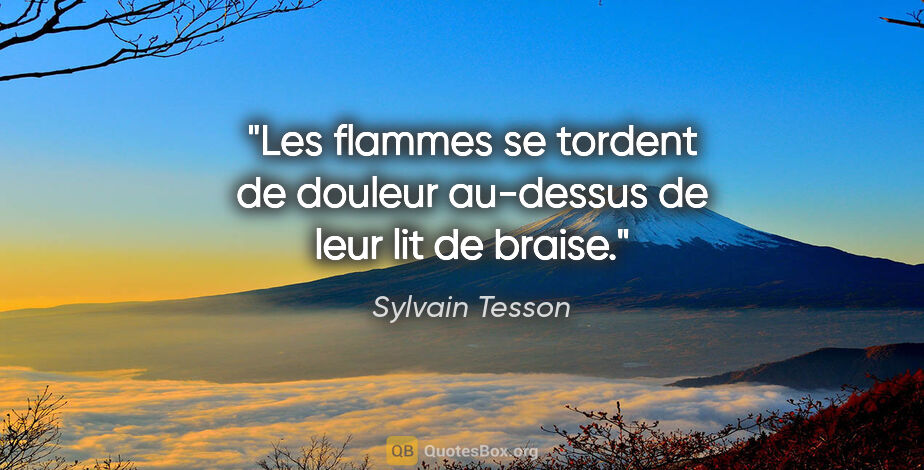 Sylvain Tesson citation: "Les flammes se tordent de douleur au-dessus de leur lit de..."