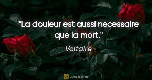 Voltaire citation: "La douleur est aussi necessaire que la mort."