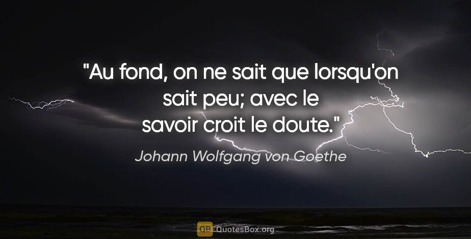 Johann Wolfgang von Goethe citation: "Au fond, on ne sait que lorsqu'on sait peu; avec le savoir..."