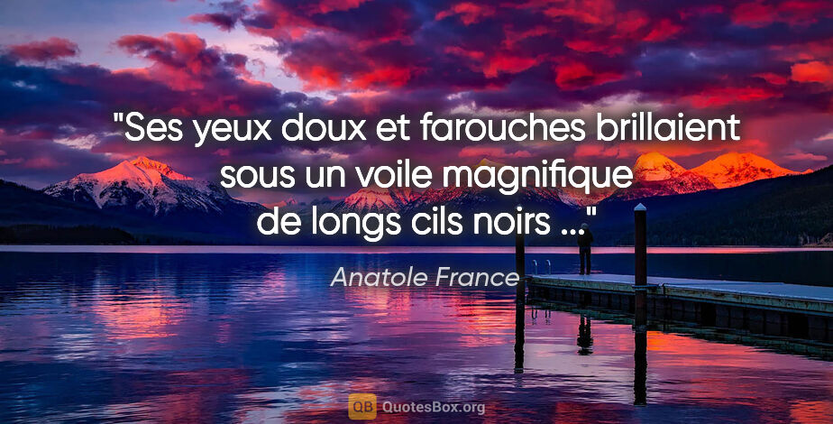 Anatole France citation: "Ses yeux doux et farouches brillaient sous un voile magnifique..."
