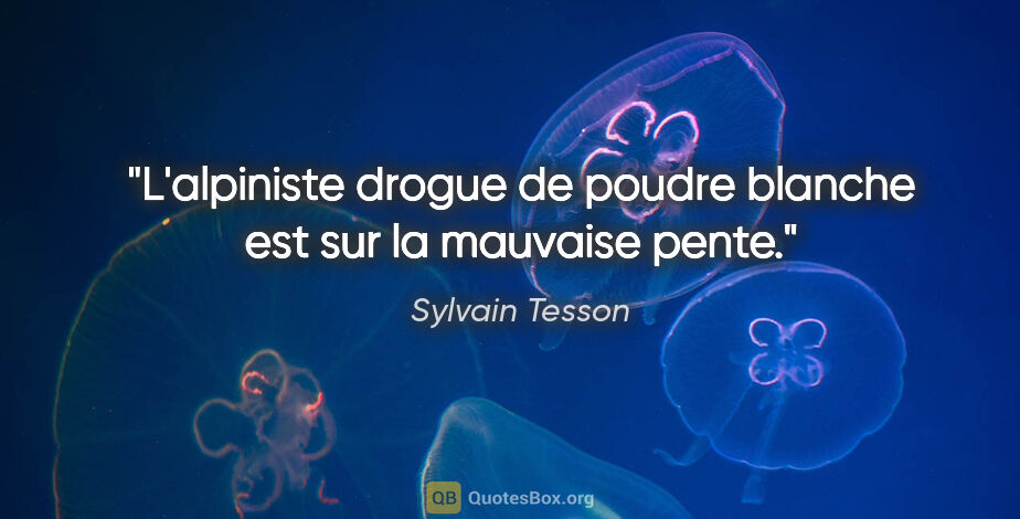 Sylvain Tesson citation: "L'alpiniste drogue de poudre blanche est sur la mauvaise pente."