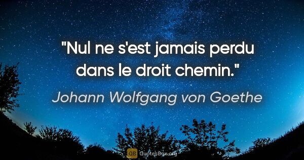 Johann Wolfgang von Goethe citation: "Nul ne s'est jamais perdu dans le droit chemin."