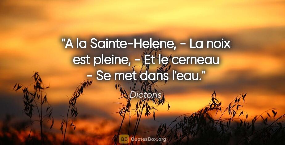 Dictons citation: "A la Sainte-Helene, - La noix est pleine, - Et le cerneau - Se..."
