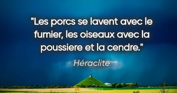 Héraclite citation: "Les porcs se lavent avec le fumier, les oiseaux avec la..."