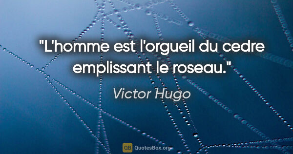 Victor Hugo citation: "L'homme est l'orgueil du cedre emplissant le roseau."