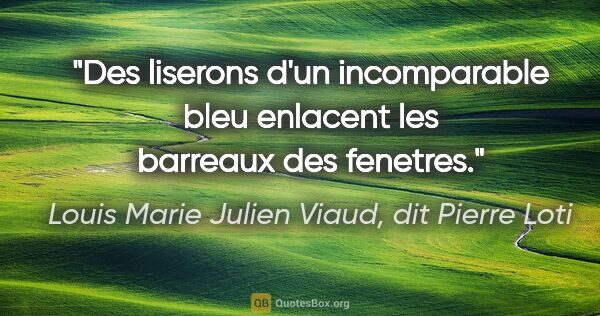 Louis Marie Julien Viaud, dit Pierre Loti citation: "Des liserons d'un incomparable bleu enlacent les barreaux des..."
