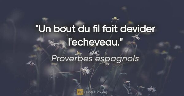 Proverbes espagnols citation: "Un bout du fil fait devider l'echeveau."