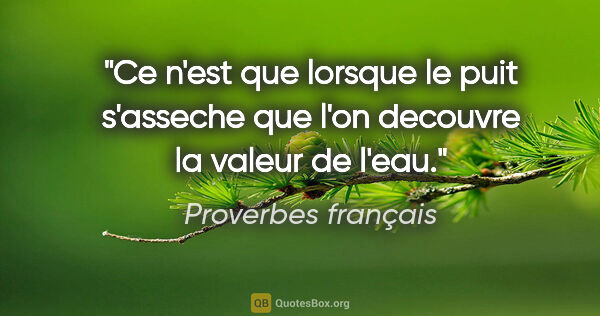 Proverbes français citation: "Ce n'est que lorsque le puit s'asseche que l'on decouvre la..."
