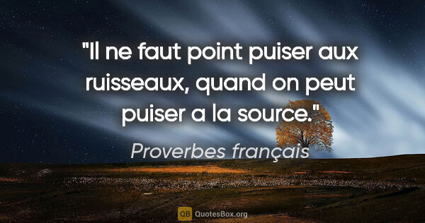 Proverbes français citation: "Il ne faut point puiser aux ruisseaux, quand on peut puiser a..."