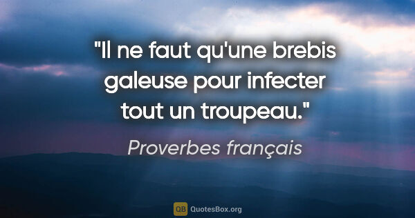 Proverbes français citation: "Il ne faut qu'une brebis galeuse pour infecter tout un troupeau."