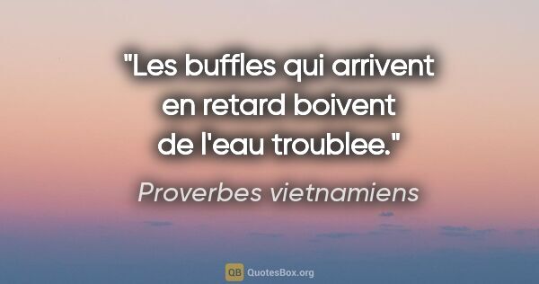 Proverbes vietnamiens citation: "Les buffles qui arrivent en retard boivent de l'eau troublee."