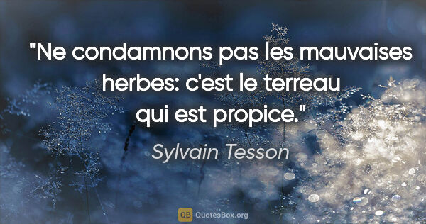 Sylvain Tesson citation: "Ne condamnons pas les mauvaises herbes: c'est le terreau qui..."