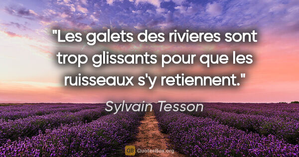 Sylvain Tesson citation: "Les galets des rivieres sont trop glissants pour que les..."