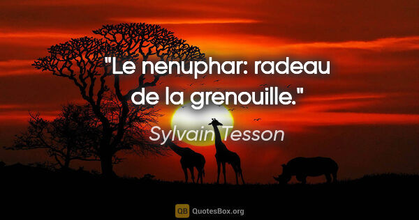 Sylvain Tesson citation: "Le nenuphar: radeau de la grenouille."