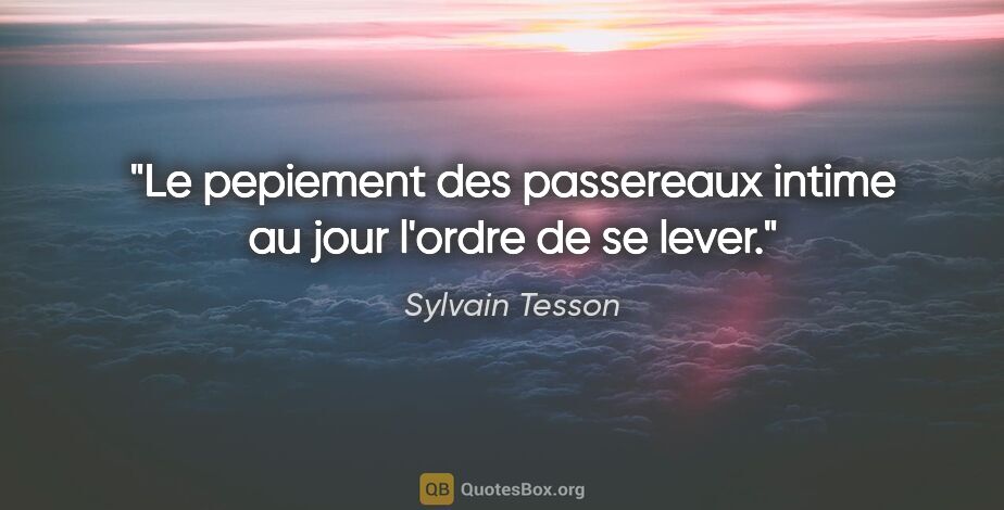 Sylvain Tesson citation: "Le pepiement des passereaux intime au jour l'ordre de se lever."